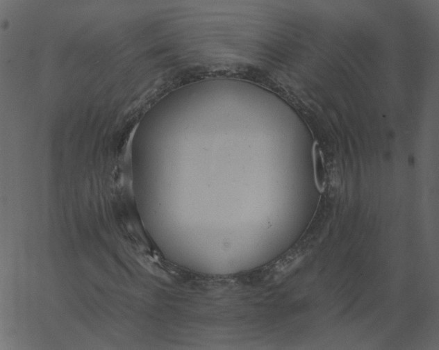 X0000062670916200601111240