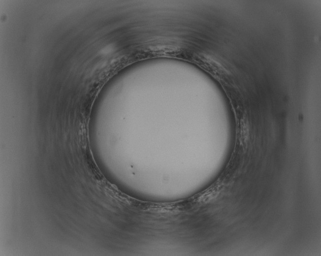 X0000062670917200601111240