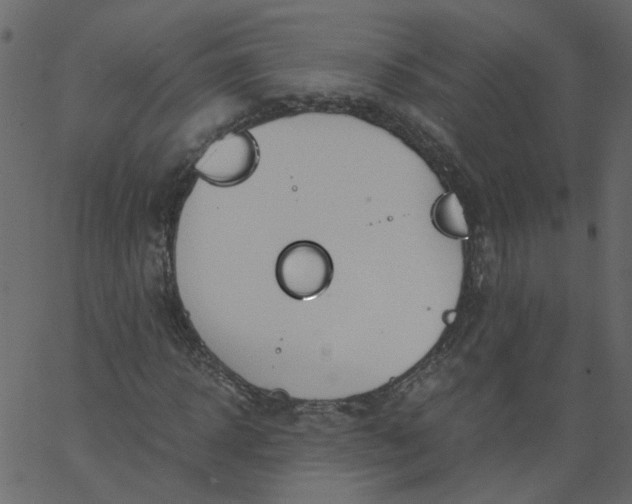 X0000062670918200601111240