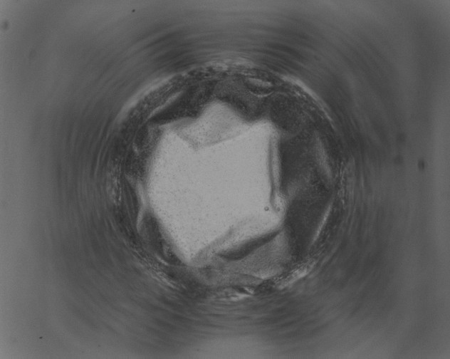 X0000062670919200601111240