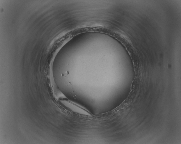 X0000062670920200601111240