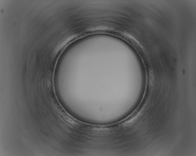 X0000062670921200601111240