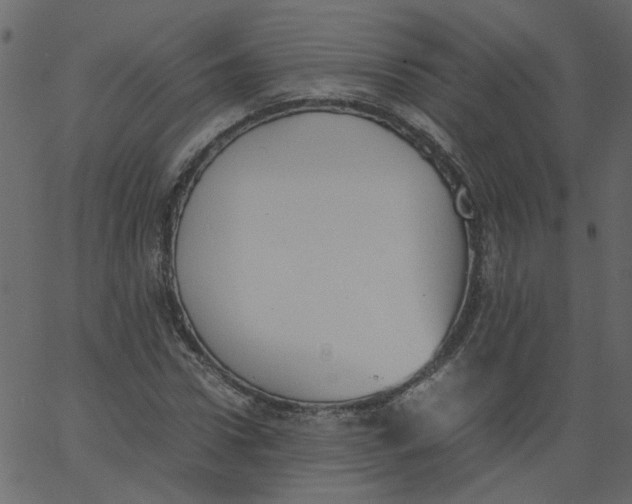 X0000062670922200601111240