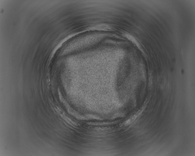 X0000062670923200601111240