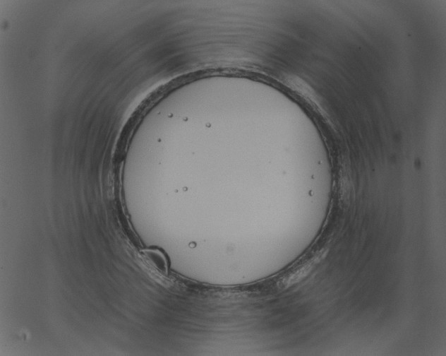 X0000062670924200601111240