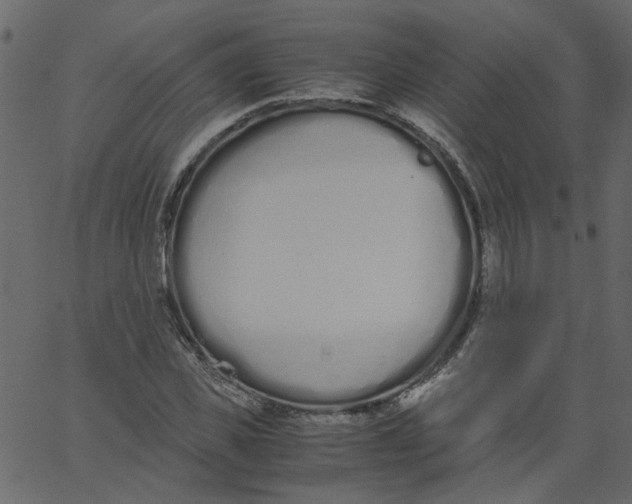 X0000062670925200601111240