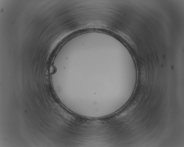 X0000062670926200601111240