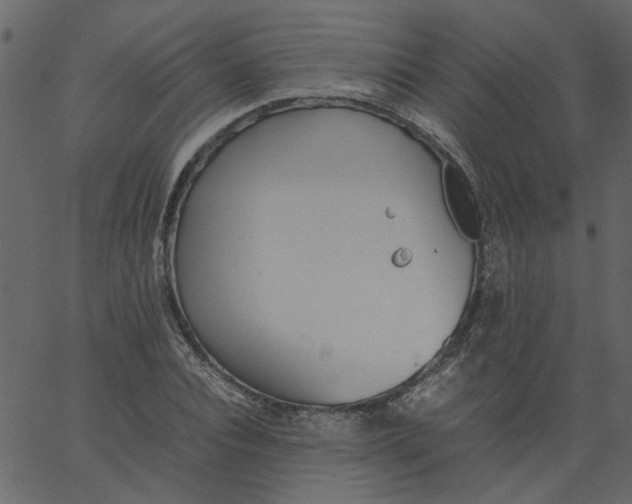 X0000062670928200601111240