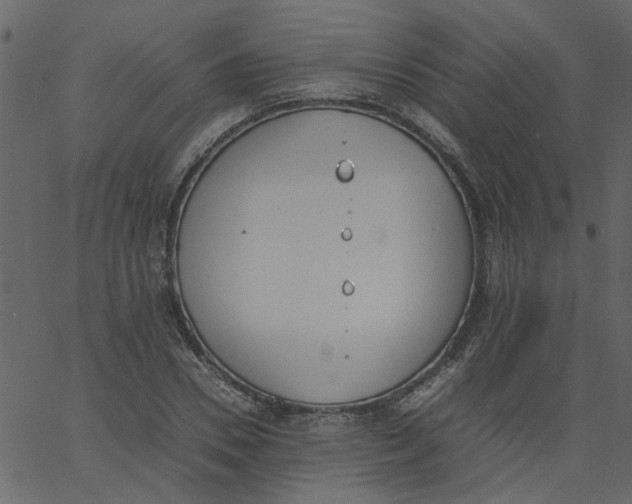 X0000062670930200601111240