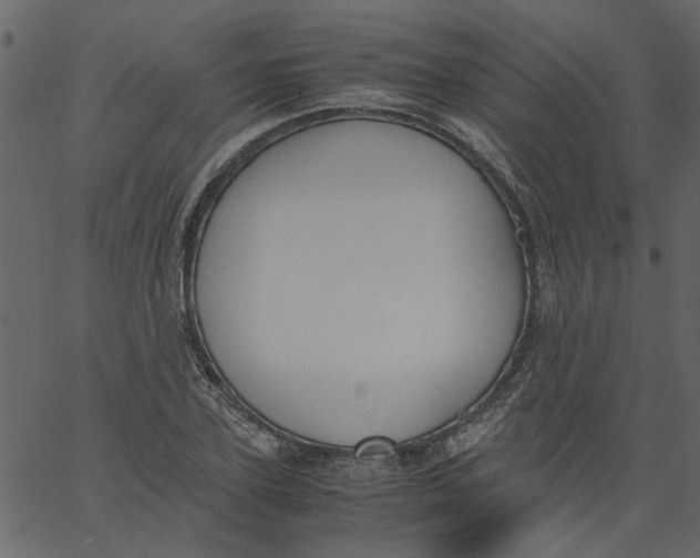 X0000062670931200601111240