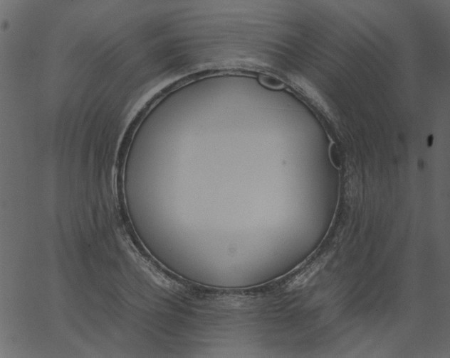 X0000062670932200601111240