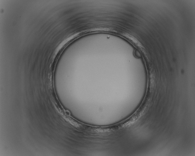 X0000062670933200601111240