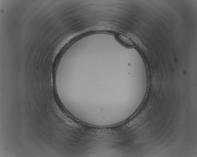 X0000062670934200601111240