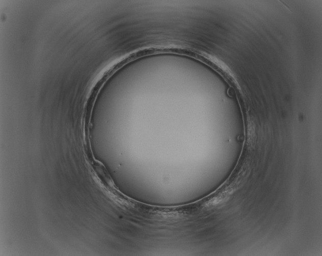 X0000062670935200601111240