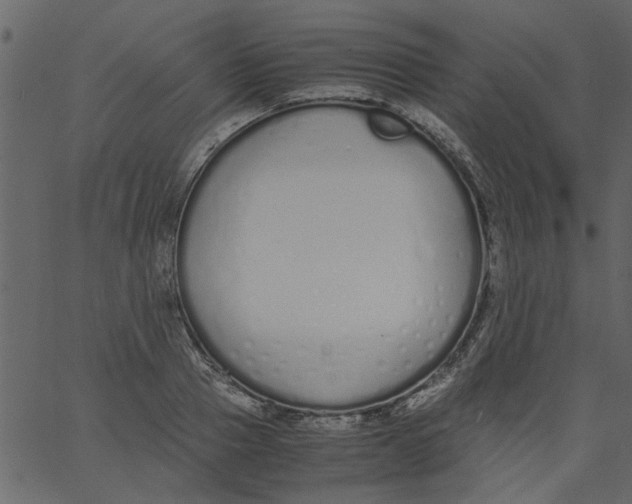 X0000062670937200601111240