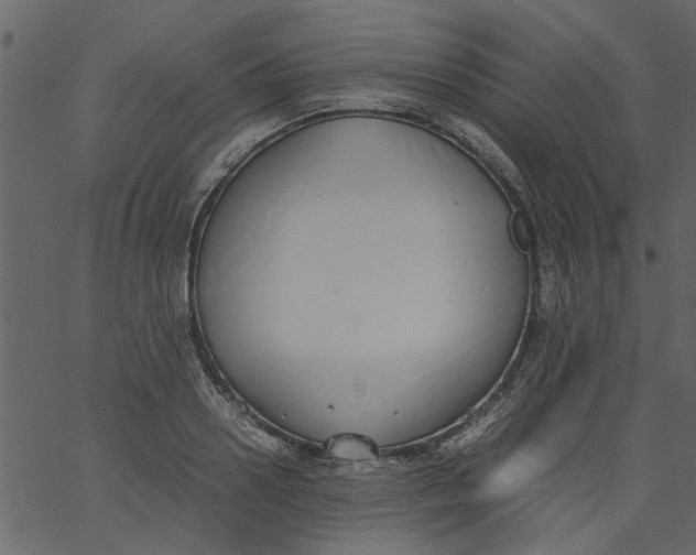 X0000062670938200601111240