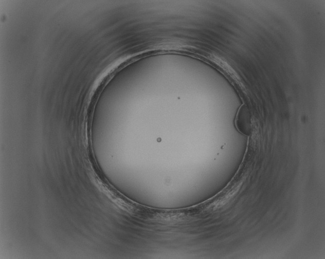 X0000062670939200601111240