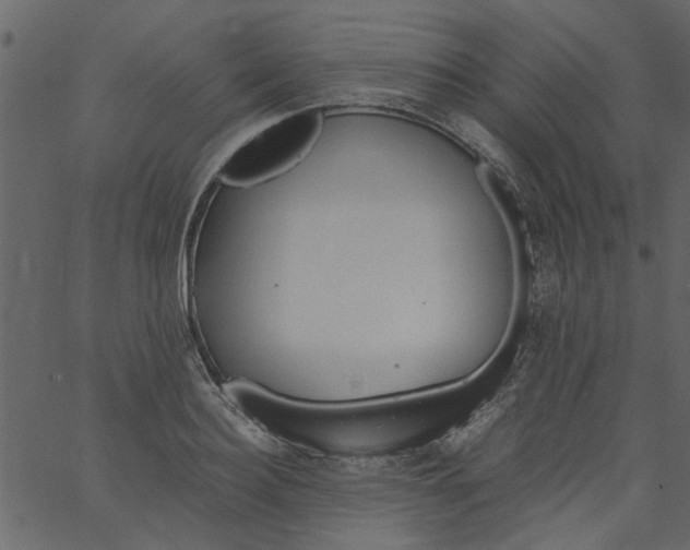 X0000062670940200601111240