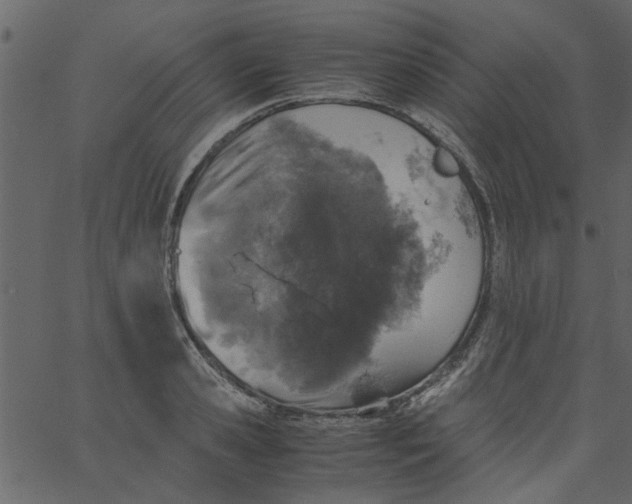 X0000062670941200601111240