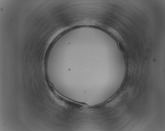 X0000062670942200601111240