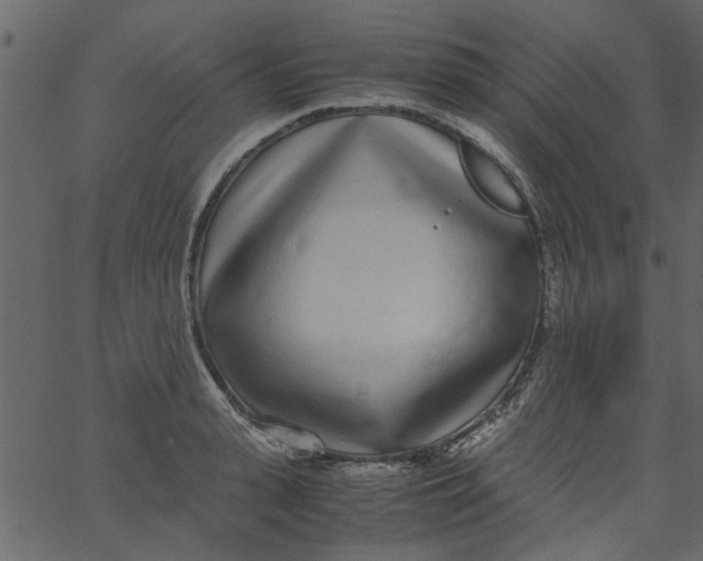 X0000062670943200601111240