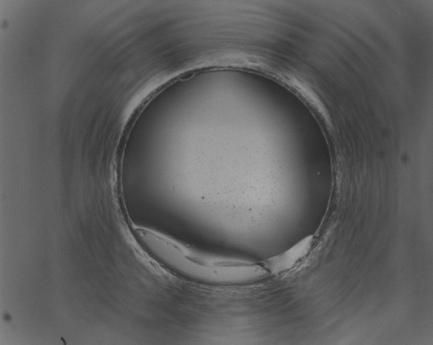 X0000062670944200601111240