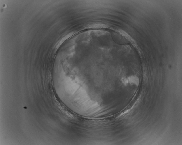 X0000062670945200601111240