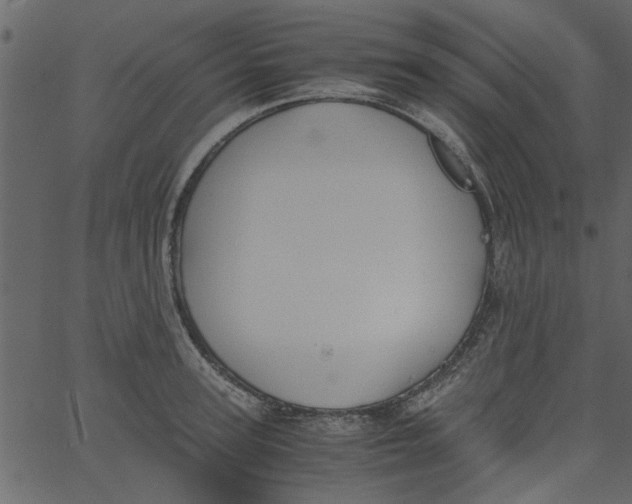 X0000062670947200601111240