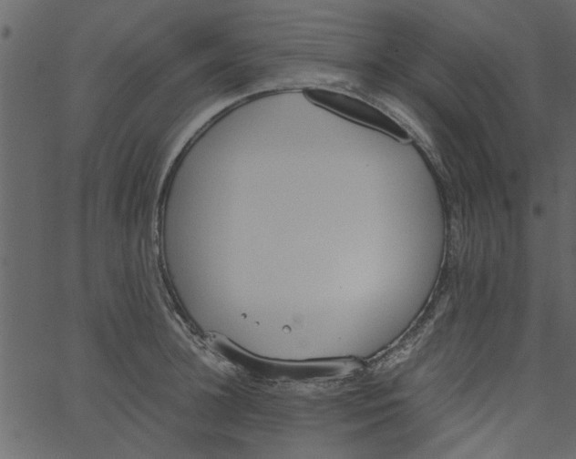 X0000062670948200601111240