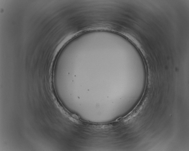 X0000062670949200601111240