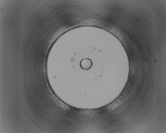 X0000062670950200601111240