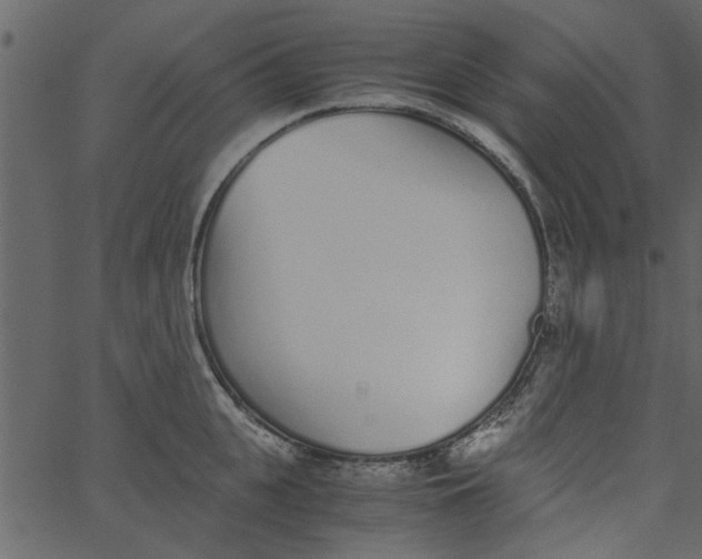 X0000062670951200601111240