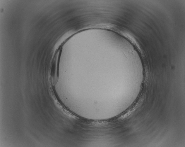 X0000062670952200601111240