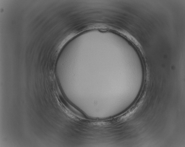 X0000062670953200601111240