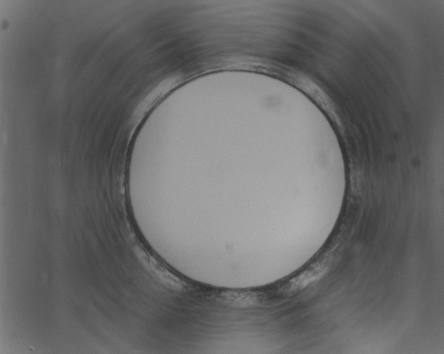 X0000062670954200601111240