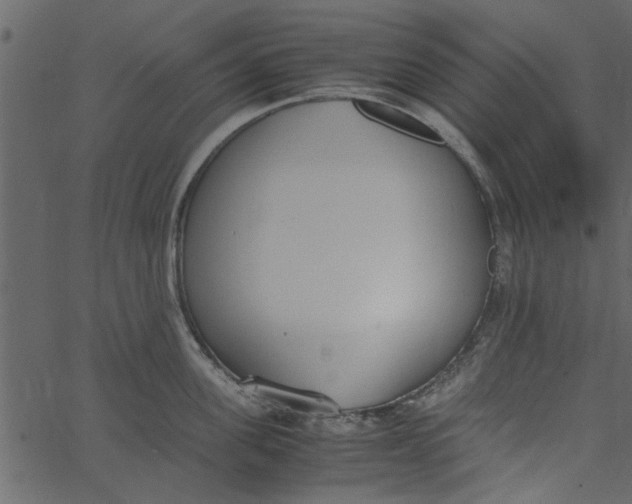 X0000062670955200601111240