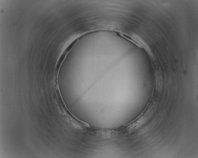 X0000062670956200601111240