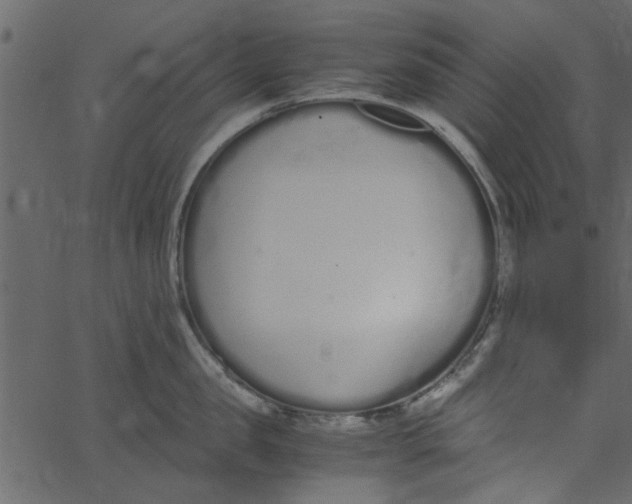 X0000062670957200601111240