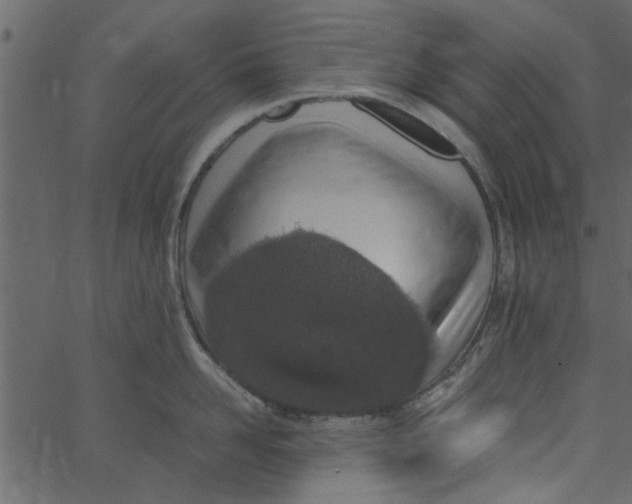 X0000062670958200601111241