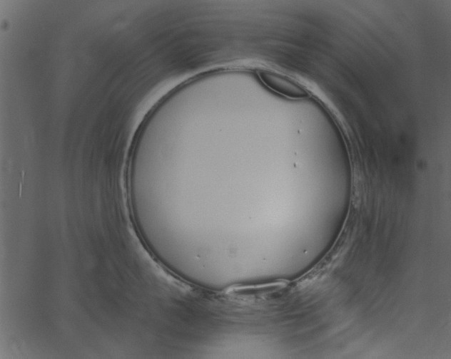 X0000062670959200601111241