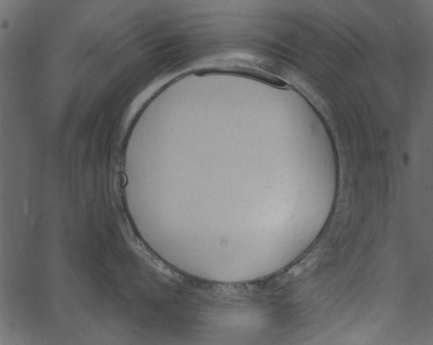 X0000062670960200601111241