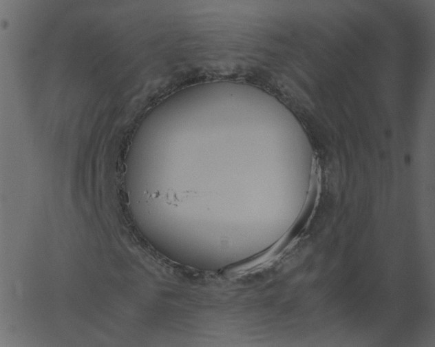 X0000062670961200601111240