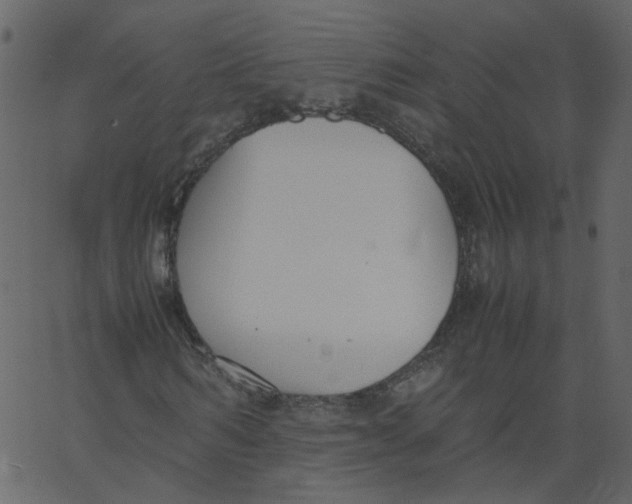 X0000062670962200601111240