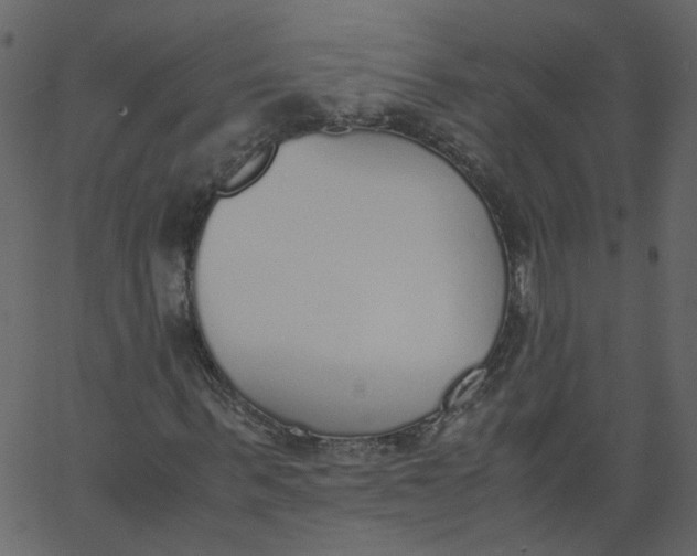 X0000062670963200601111240