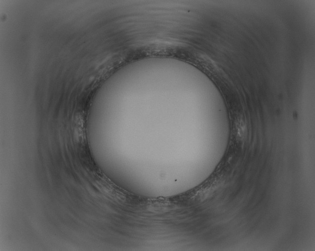 X0000062670964200601111240