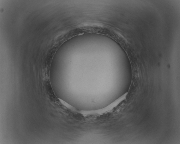 X0000062670965200601111240