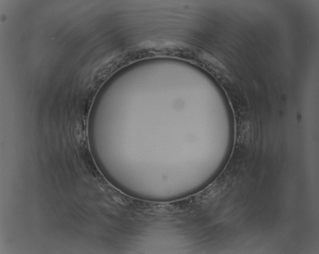 X0000062670966200601111240