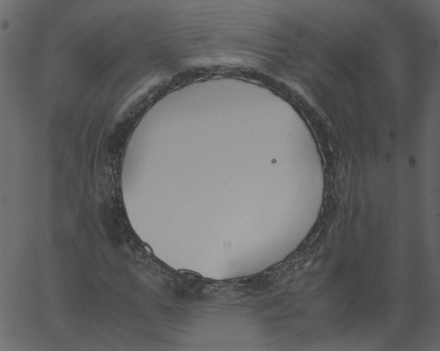 X0000062670967200601111240