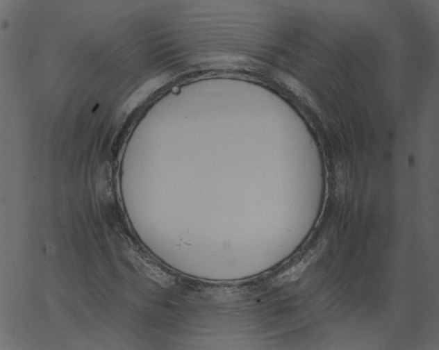 X0000062670970200601111240