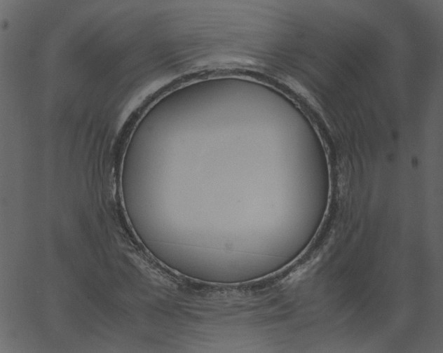 X0000062670973200601111240